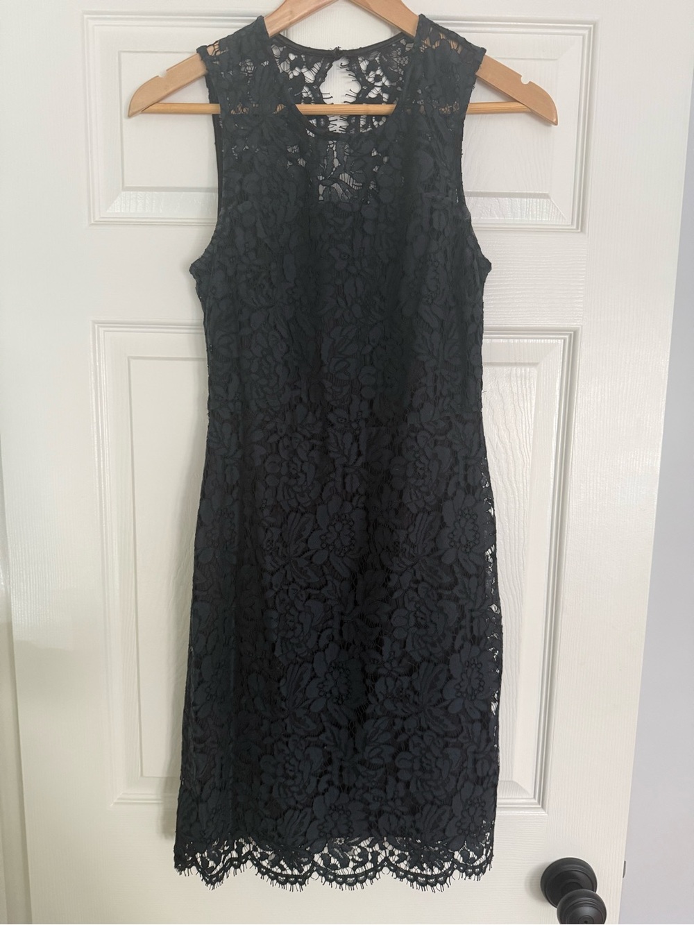 Banana Republic Lace Sleeveless Dress